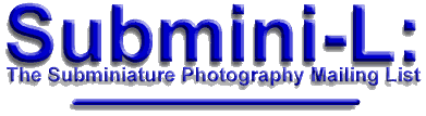 Submini-L Logo